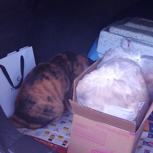 สมาชิกหมายเลข 6894162