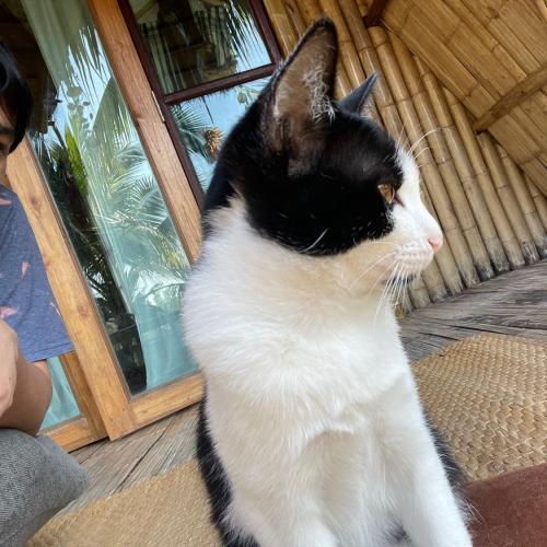 สมาชิกหมายเลข 6902128