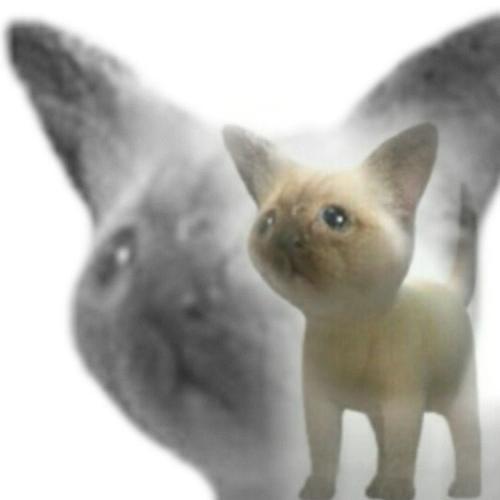 สมาชิกหมายเลข 7665043