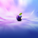 สมาชิกหมายเลข 4515569