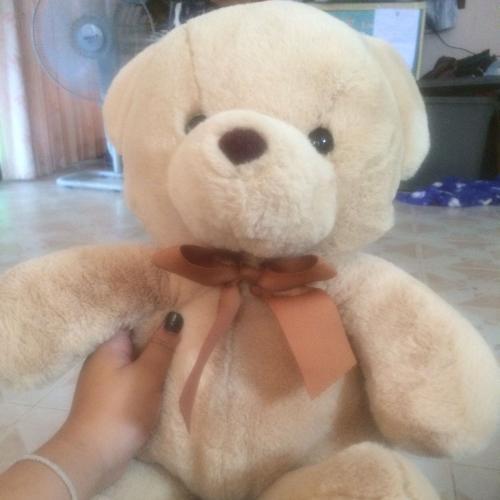 สมาชิกหมายเลข 4490299