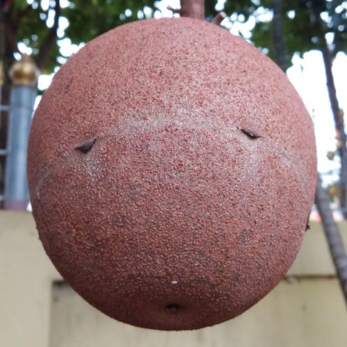 สมาชิกหมายเลข 2692404