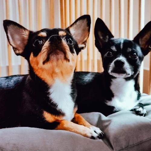 สมาชิกหมายเลข 3589038