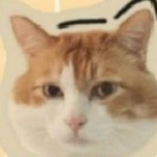 สมาชิกหมายเลข 4972697