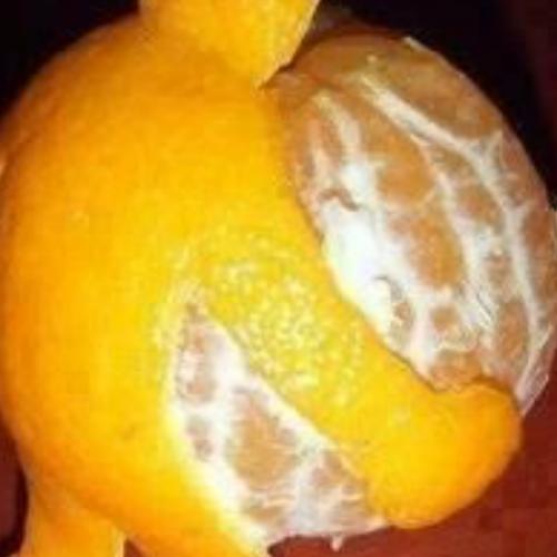 สมาชิกหมายเลข 6198214