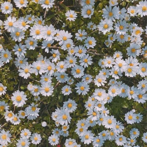 สมาชิกหมายเลข 5822874