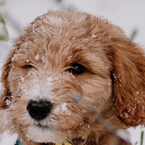 สมาชิกหมายเลข 6885207