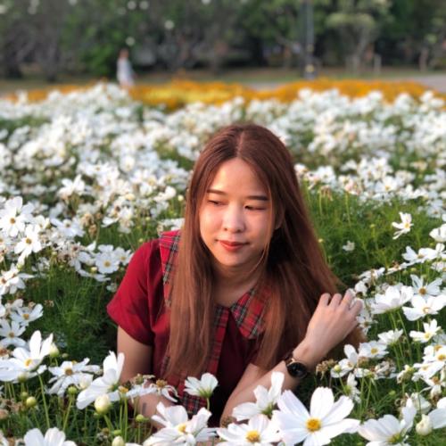 สมาชิกหมายเลข 2662880