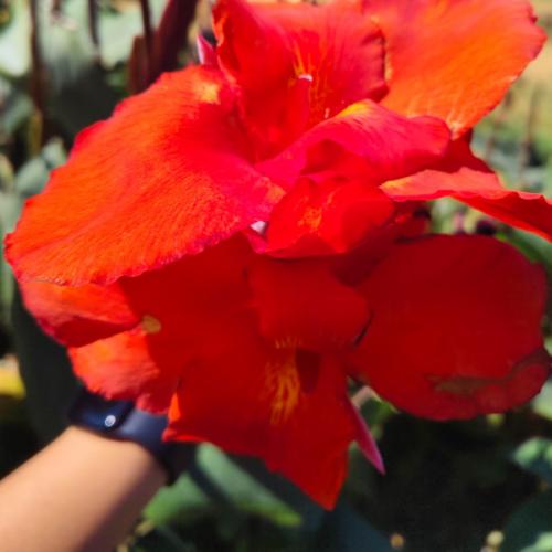 สมาชิกหมายเลข 8598180