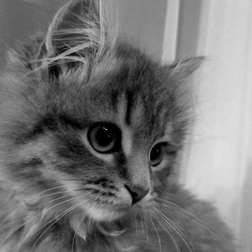 สมาชิกหมายเลข 8612578