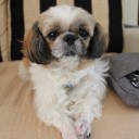 สมาชิกหมายเลข 3466839