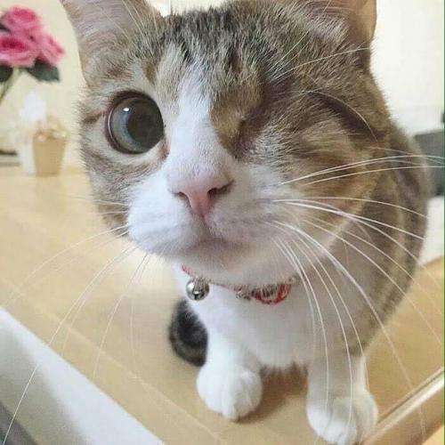 อะไรเอ่ย?_กินได้อร่อยด้วย