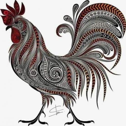 สมาชิกหมายเลข 4547526