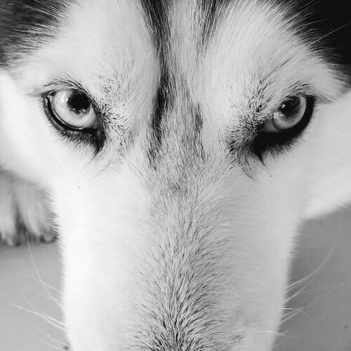 สมาชิกหมายเลข 4852724