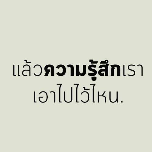 สมาชิกหมายเลข 3271304