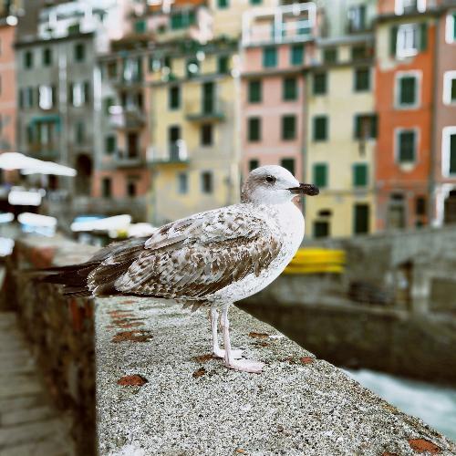 สมาชิกหมายเลข 5241794