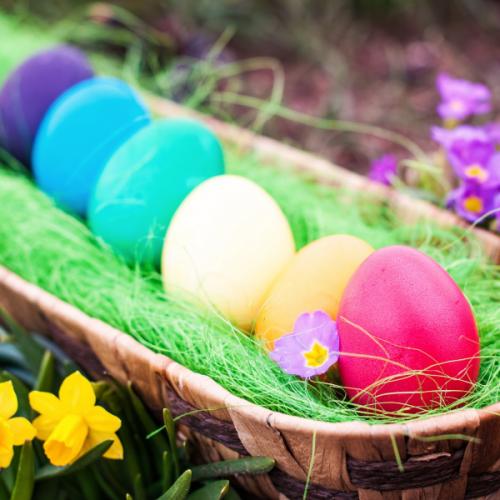 สมาชิกหมายเลข 5670019