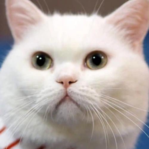 สมาชิกหมายเลข 5670633