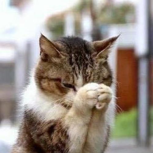 สมาชิกหมายเลข 4500562