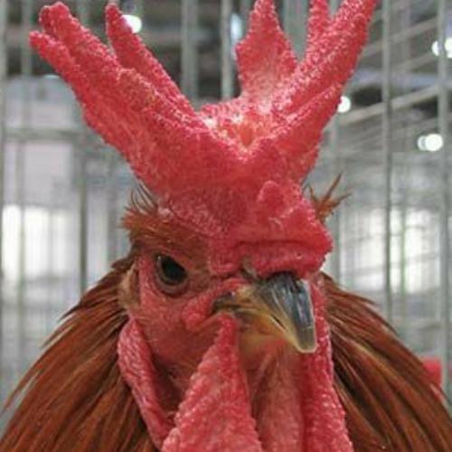 สมาชิกหมายเลข 6903512