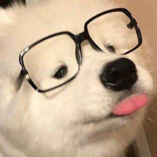 สมาชิกหมายเลข 7078123