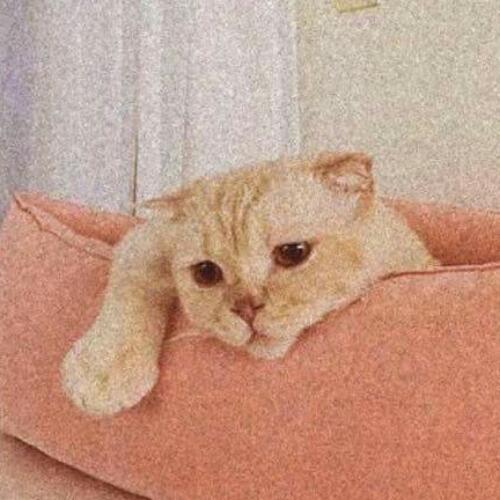 สมาชิกหมายเลข 4853021