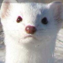 สมาชิกหมายเลข 4853058