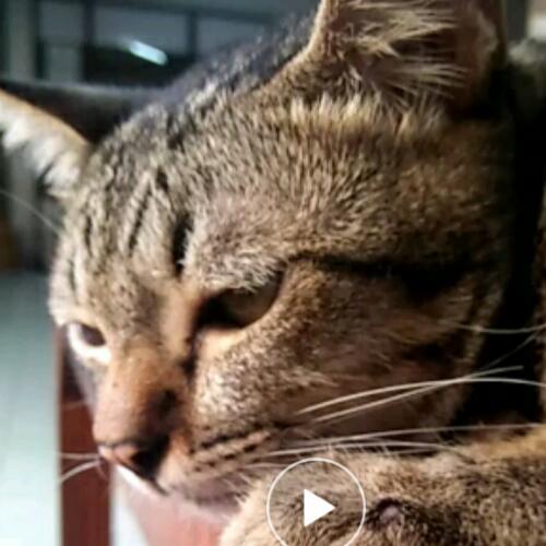 สมาชิกหมายเลข 5242104