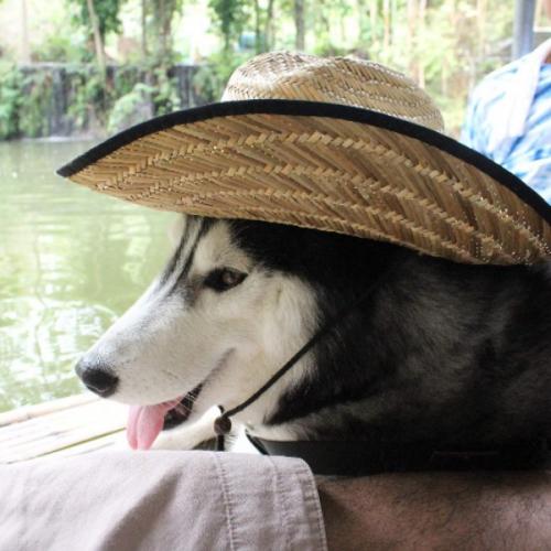 สมาชิกหมายเลข 5242143