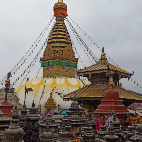 สมาชิกหมายเลข 5002730