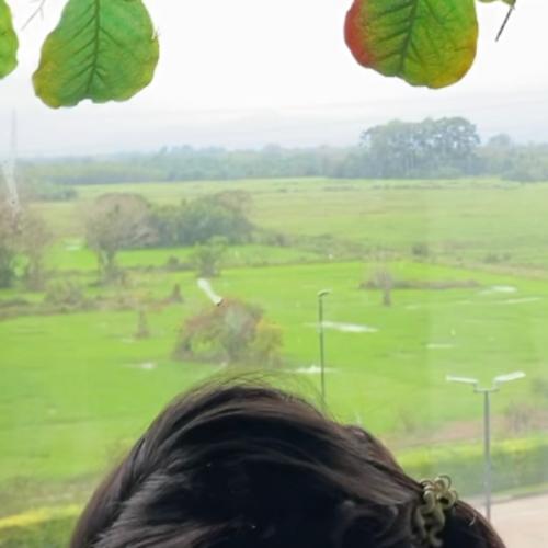 สมาชิกหมายเลข 6904272