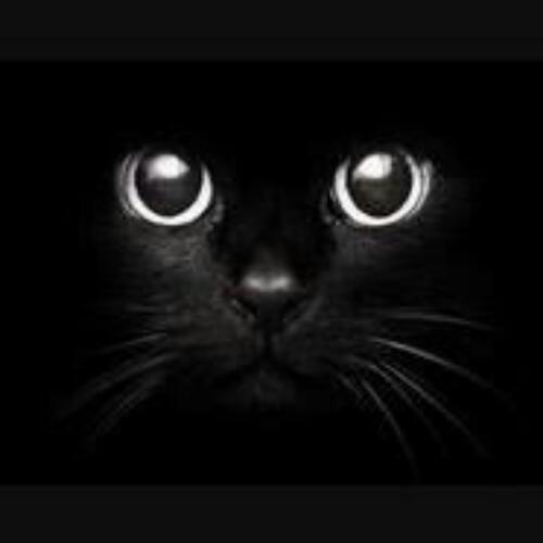 สมาชิกหมายเลข 3008152