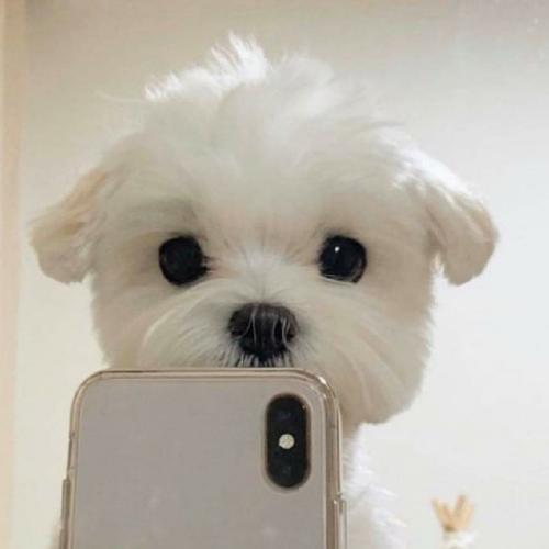 สมาชิกหมายเลข 5671535