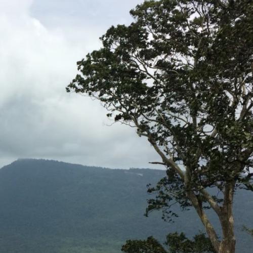 สมาชิกหมายเลข 6242760