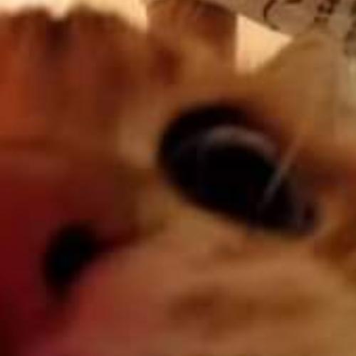 สมาชิกหมายเลข 6250293