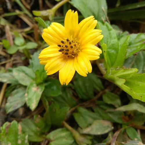 สมาชิกหมายเลข 4853687