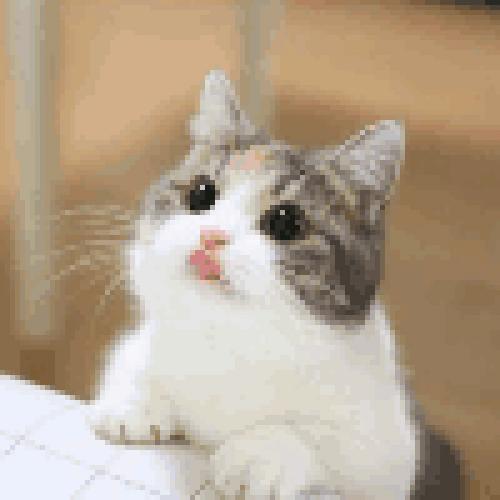 สมาชิกหมายเลข 5226079