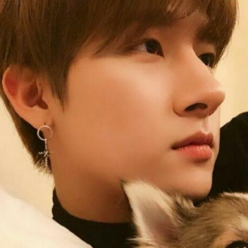 สมาชิกหมายเลข 5241863