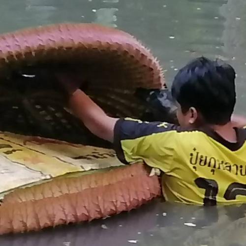 สมาชิกหมายเลข 4101268