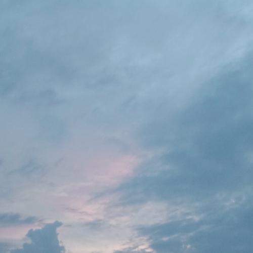 สมาชิกหมายเลข 3817573