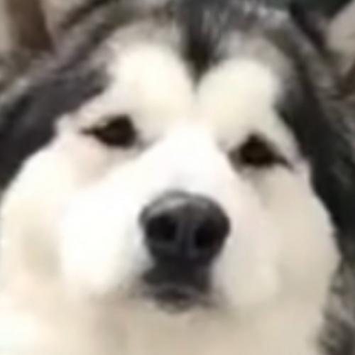 สมาชิกหมายเลข 5707601