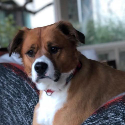 สมาชิกหมายเลข 6901961