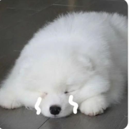 สมาชิกหมายเลข 7668742