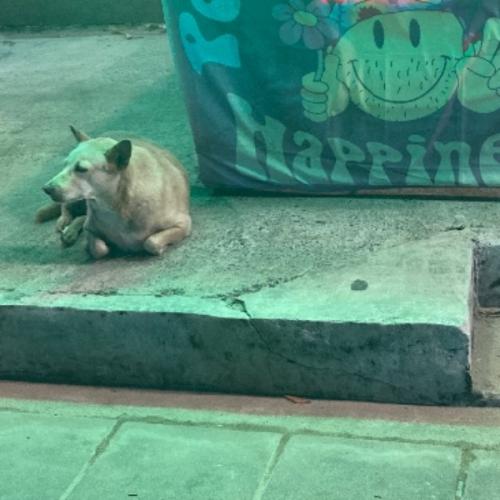 สมาชิกหมายเลข 5662206