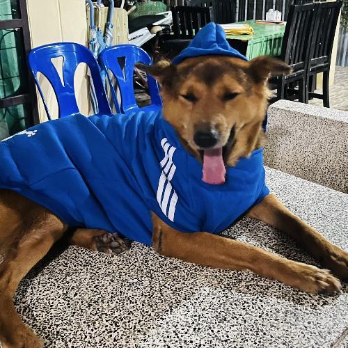 สมาชิกหมายเลข 8616795