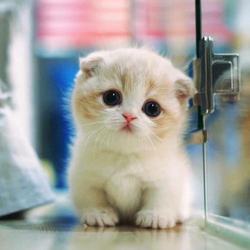 นาทีสวรรค์จงผันพลิก