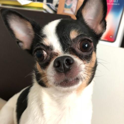 น้องนิวแสนซน