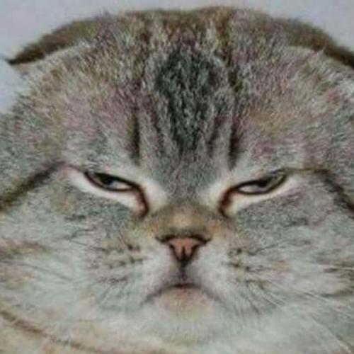 สมาชิกหมายเลข 3403441