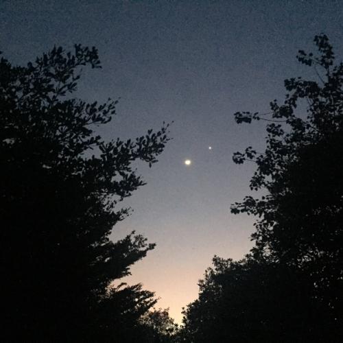 สมาชิกหมายเลข 4986452