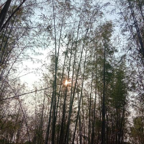 สมาชิกหมายเลข 5600615